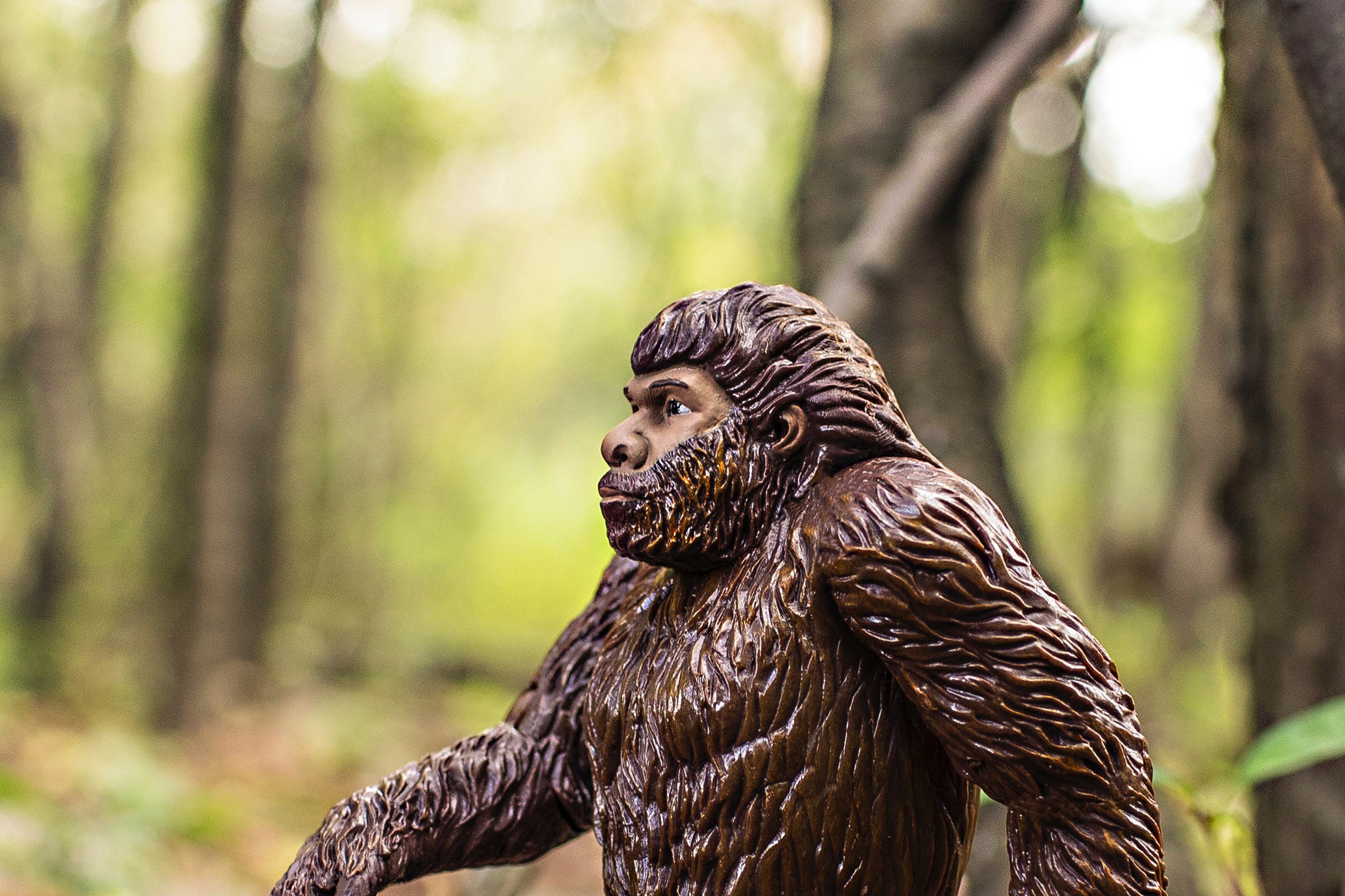 The Evolution of a Shopify Store – ShopCreatify - Shopify Experts